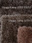 Высоковорсный ковер Shaggy Lama 1039-33053 - высокое качество по лучшей цене в Украине - изображение 3.